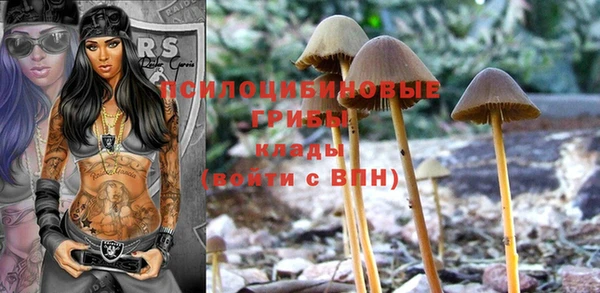 мяу мяу кристалл Дмитриев