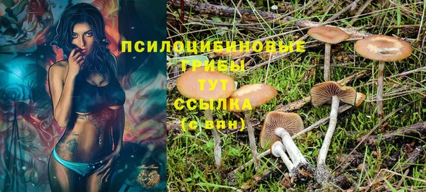 мяу мяу кристалл Дмитриев