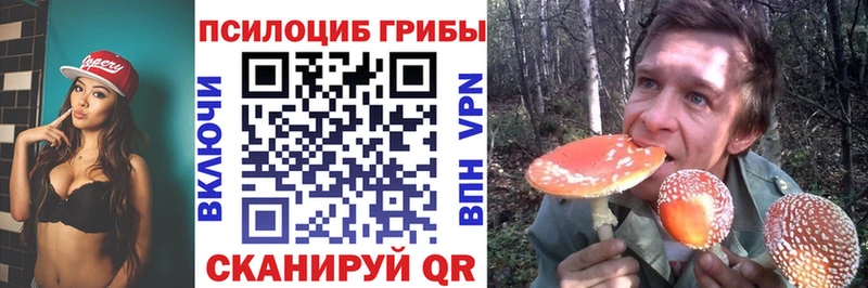 Псилоцибиновые грибы Magic Shrooms  Окуловка 