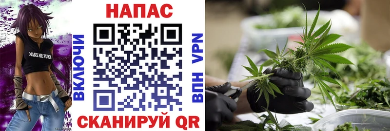 Конопля SATIVA & INDICA  Окуловка 